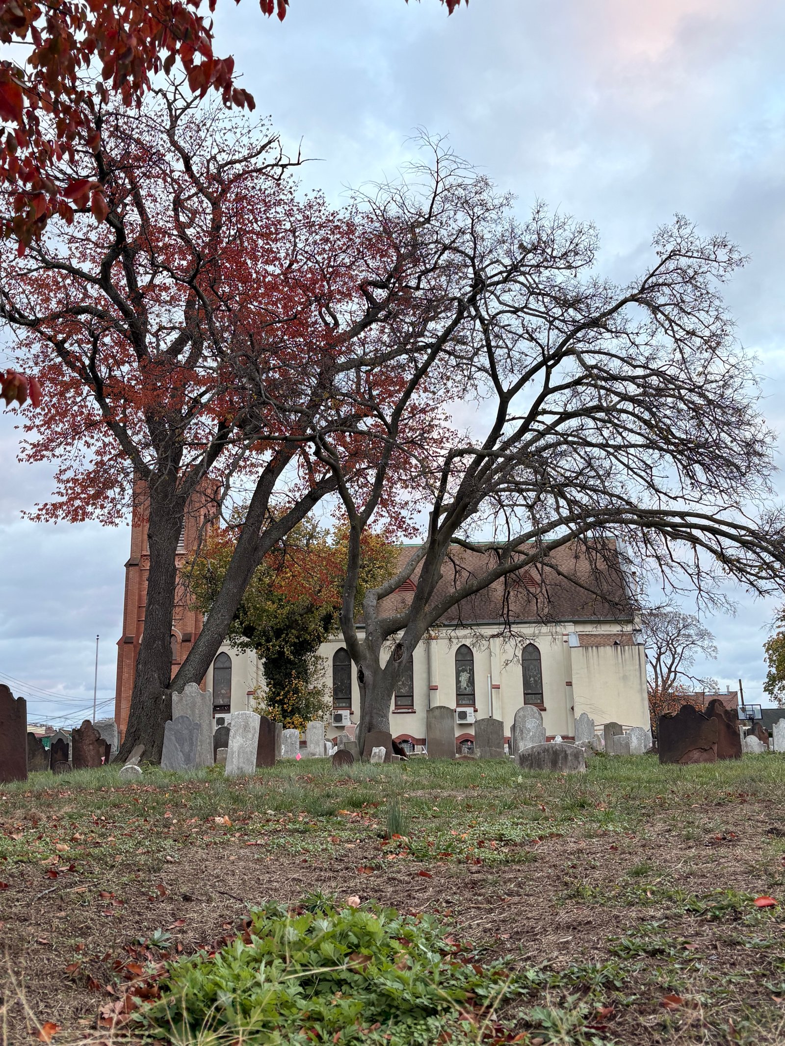 Gravestones and autumn trees in the New Utrecht cemetery, photographed in 2025.