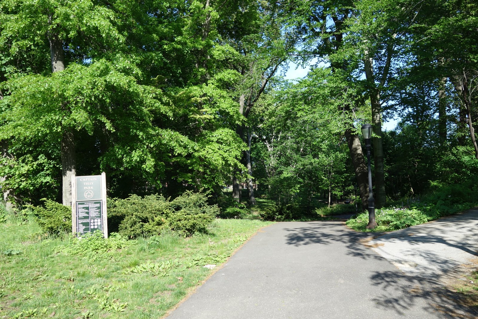 Captain Tilly Park sign beside a shaded path under mature trees.