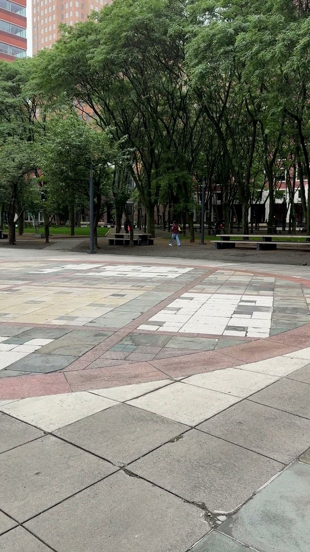 Leafy trees shade benches beside a broad paved plaza at Brooklyn Commons, with buildings behind them.