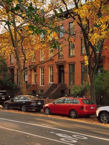 Brick row houses and stoops stand behind autumn trees and parked cars.