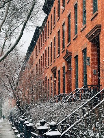 Snow covers stoops and branches along a row of brick houses on Bergen Street.