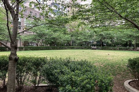 A lawn and leafy trees in Pumphouse Park.