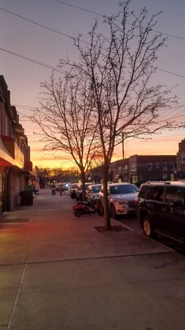A sidewalk, bare tree and storefronts on Avenue S at sunset.