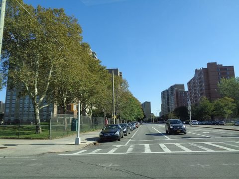 A tree-lined avenue and apartment towers seen from a crosswalk.