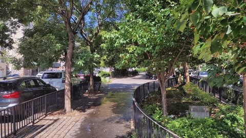 A tree-lined walkway passes planted beds at Donnellan Square.