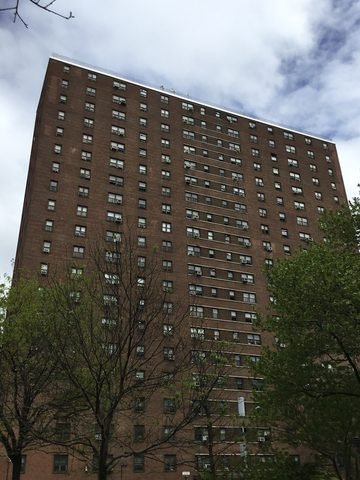 A brick Rutgers Houses apartment building rises above trees.