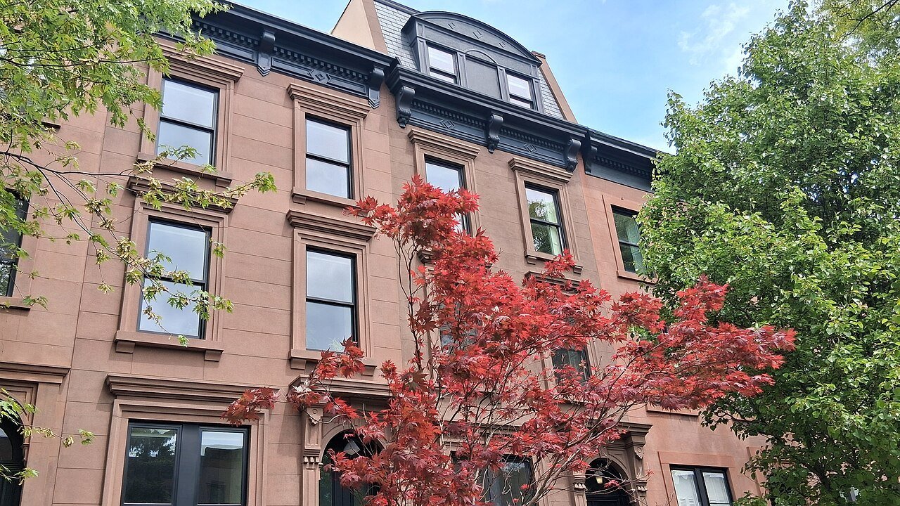 Brownstone row houses with stoops and a red-leaved tree in Carroll Gardens.