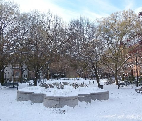 Snow-covered planting beds and leafless trees in Cobble Hill Park in 2009.