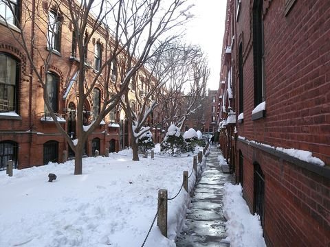 Snow beside the narrow houses and garden court of Warren Place in 2009.