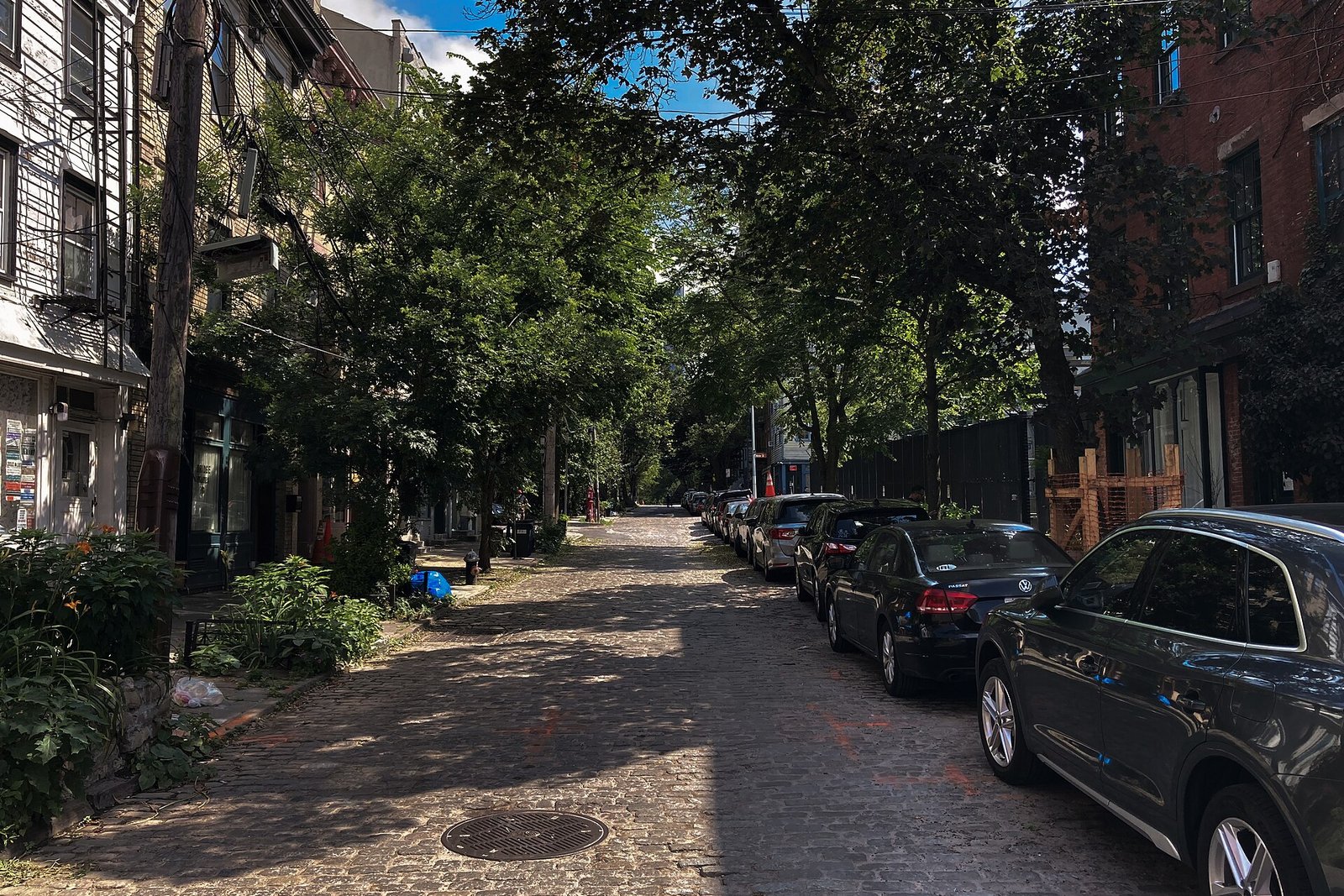 Trees shade a cobbled residential street lined with brick buildings and parked cars.